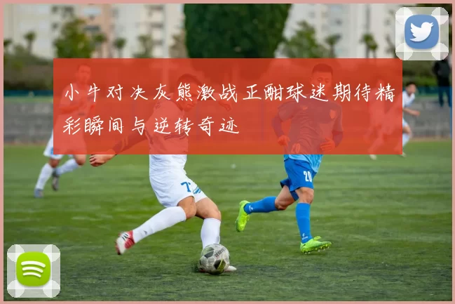 小牛对决灰熊激战正酣球迷期待精彩瞬间与逆转奇迹
